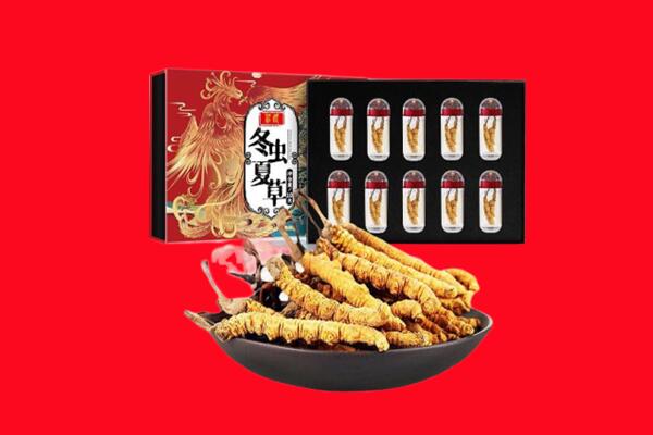 广州回收虫草